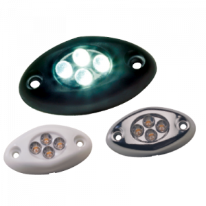 courtesy-led-light